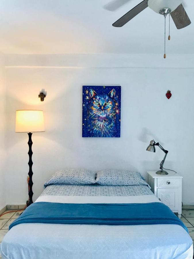 Hotel Posada Senor Manana San José del Cabo Eksteriør billede