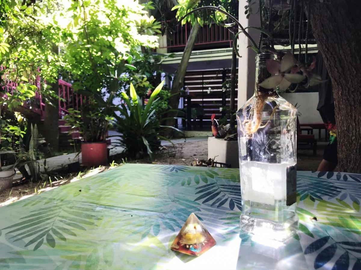 Hotel Posada Senor Manana San José del Cabo Eksteriør billede