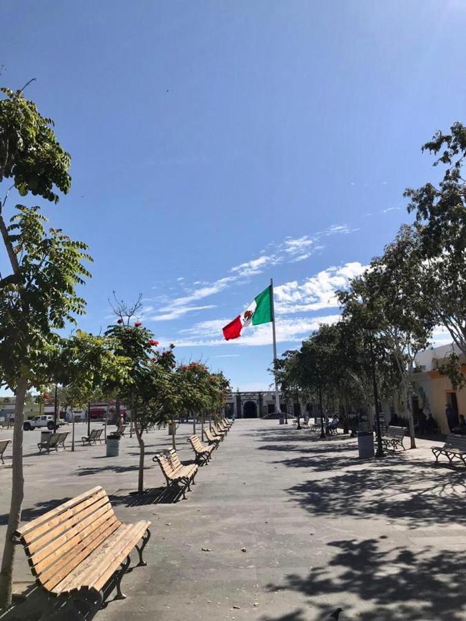 Hotel Posada Senor Manana San José del Cabo Eksteriør billede