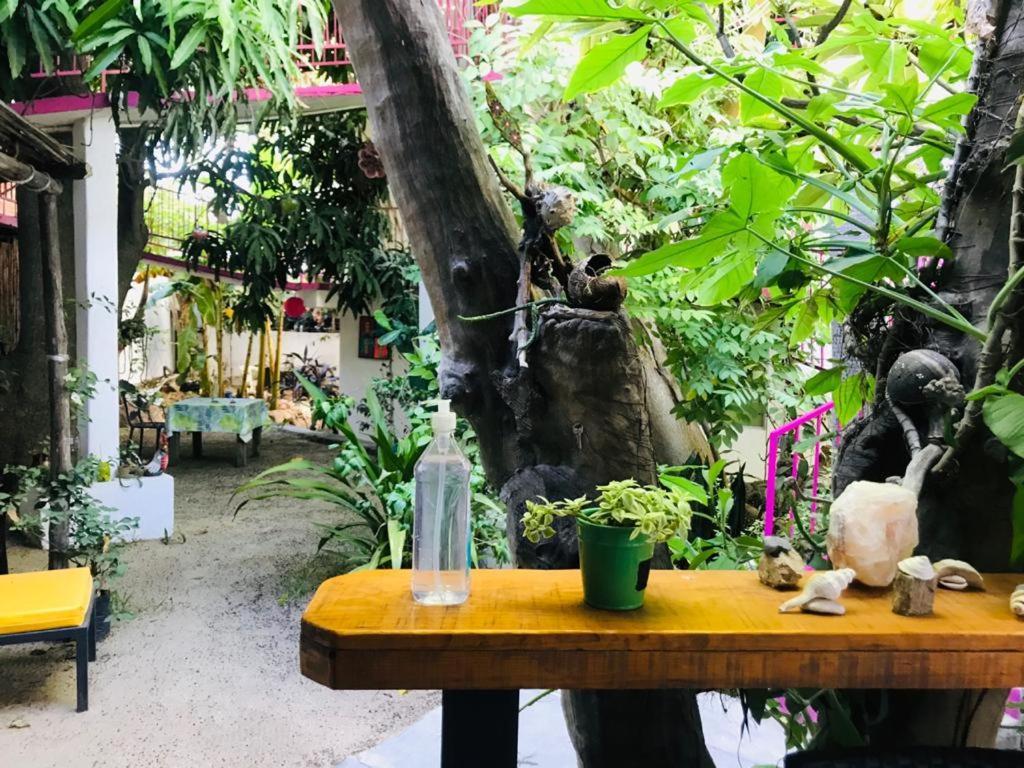 Hotel Posada Senor Manana San José del Cabo Eksteriør billede