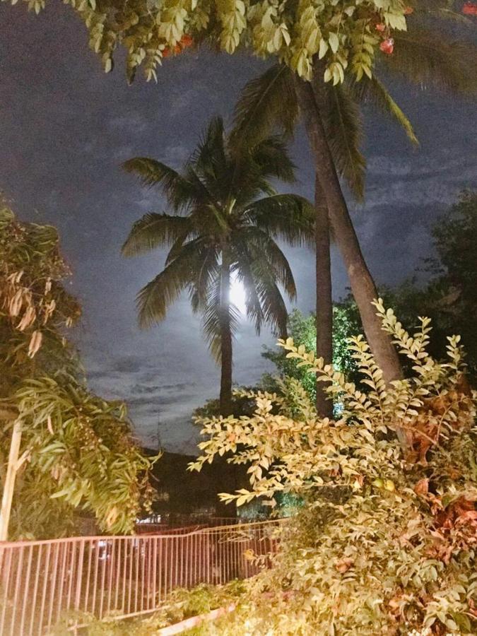 Hotel Posada Senor Manana San José del Cabo Eksteriør billede
