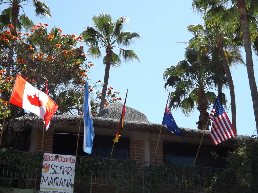 Hotel Posada Senor Manana San José del Cabo Eksteriør billede