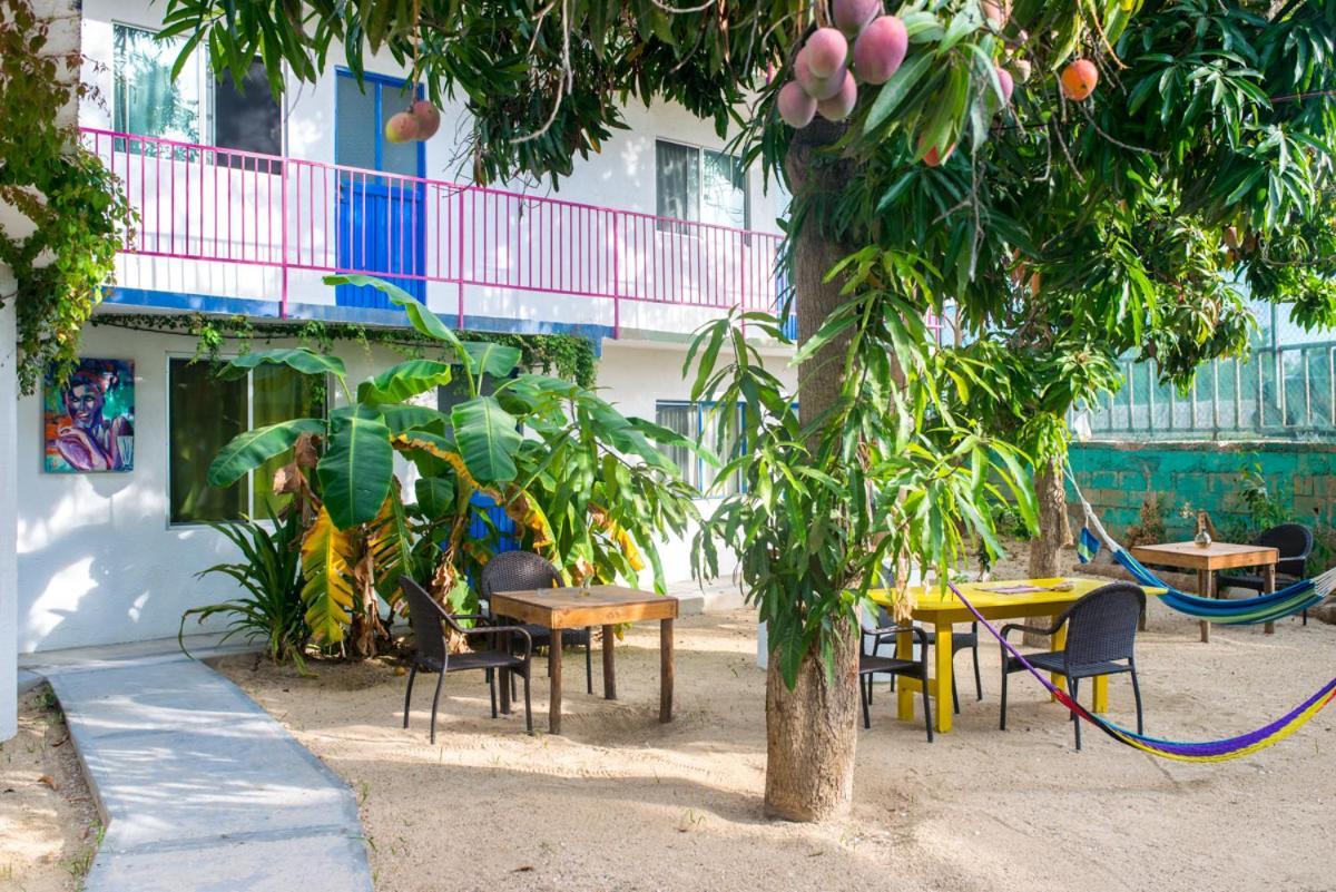 Hotel Posada Senor Manana San José del Cabo Eksteriør billede