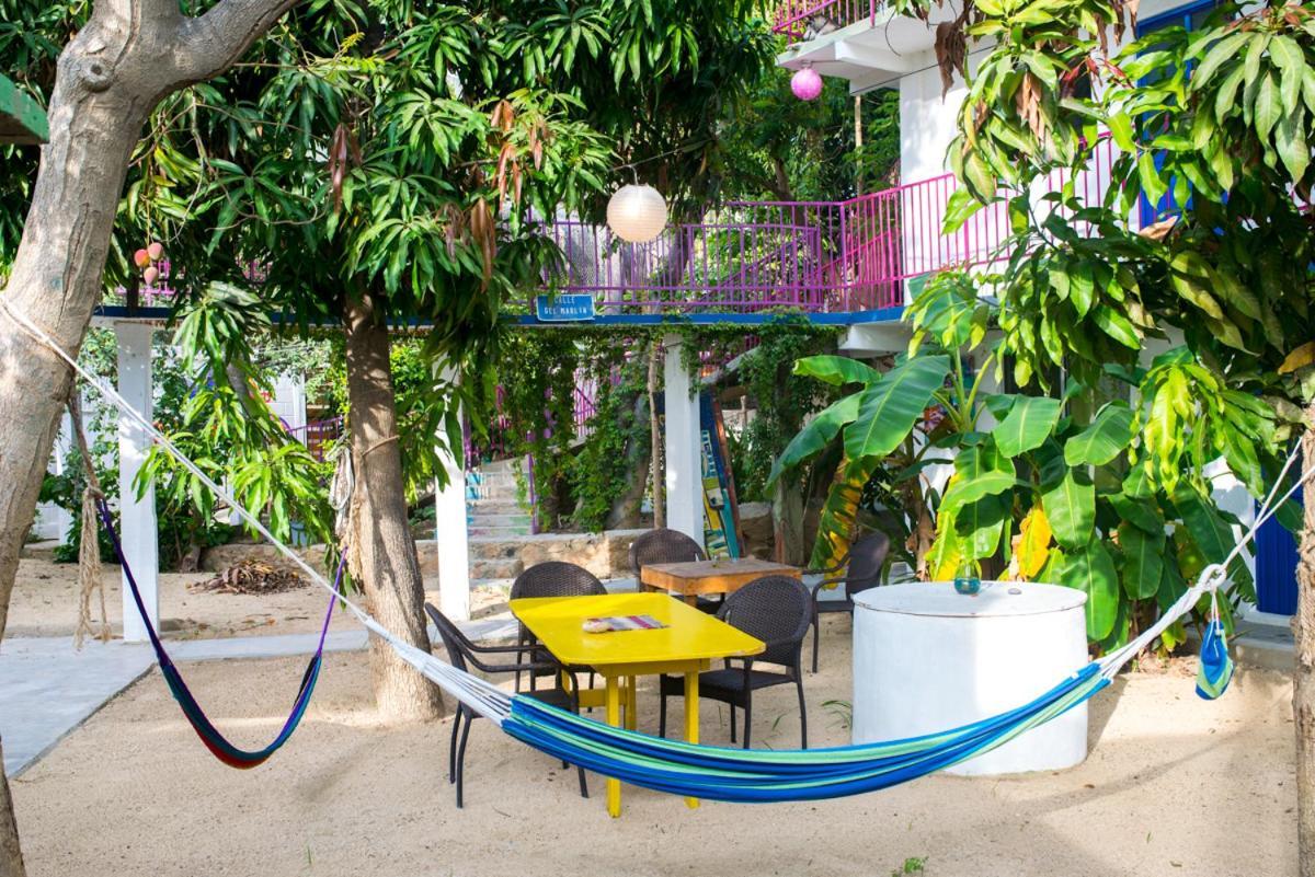 Hotel Posada Senor Manana San José del Cabo Eksteriør billede